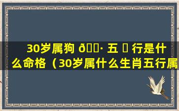 30岁属狗 🌷 五 ☘ 行是什么命格（30岁属什么生肖五行属什么）